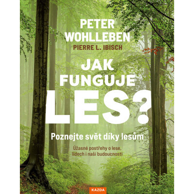 Jak funguje les?