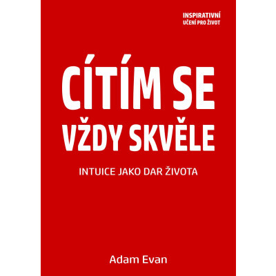 Cítím se vždy skvěle, Intuice jako dar života