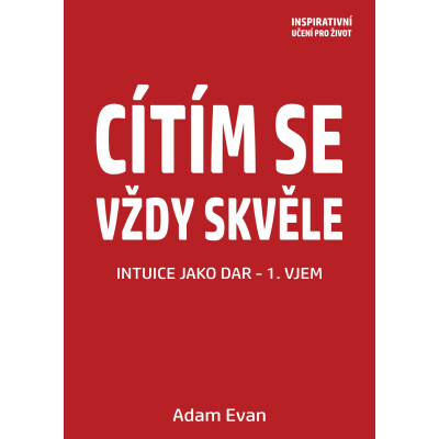 Cítím se vždy skvěle, Intuice jako dar 1. Vjem