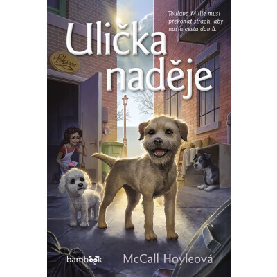 Ulička naděje
