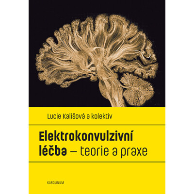 Elektrokonvulzivní léčba – teorie a praxe
