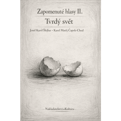 Zapomenuté hlasy II.: Tvrdý svět