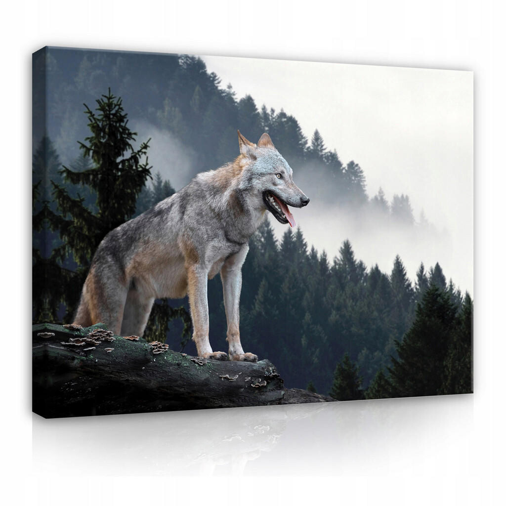 Wallarena OBRAZY NA PLÁTNĚ Vlk Lesní zvířata 120x80