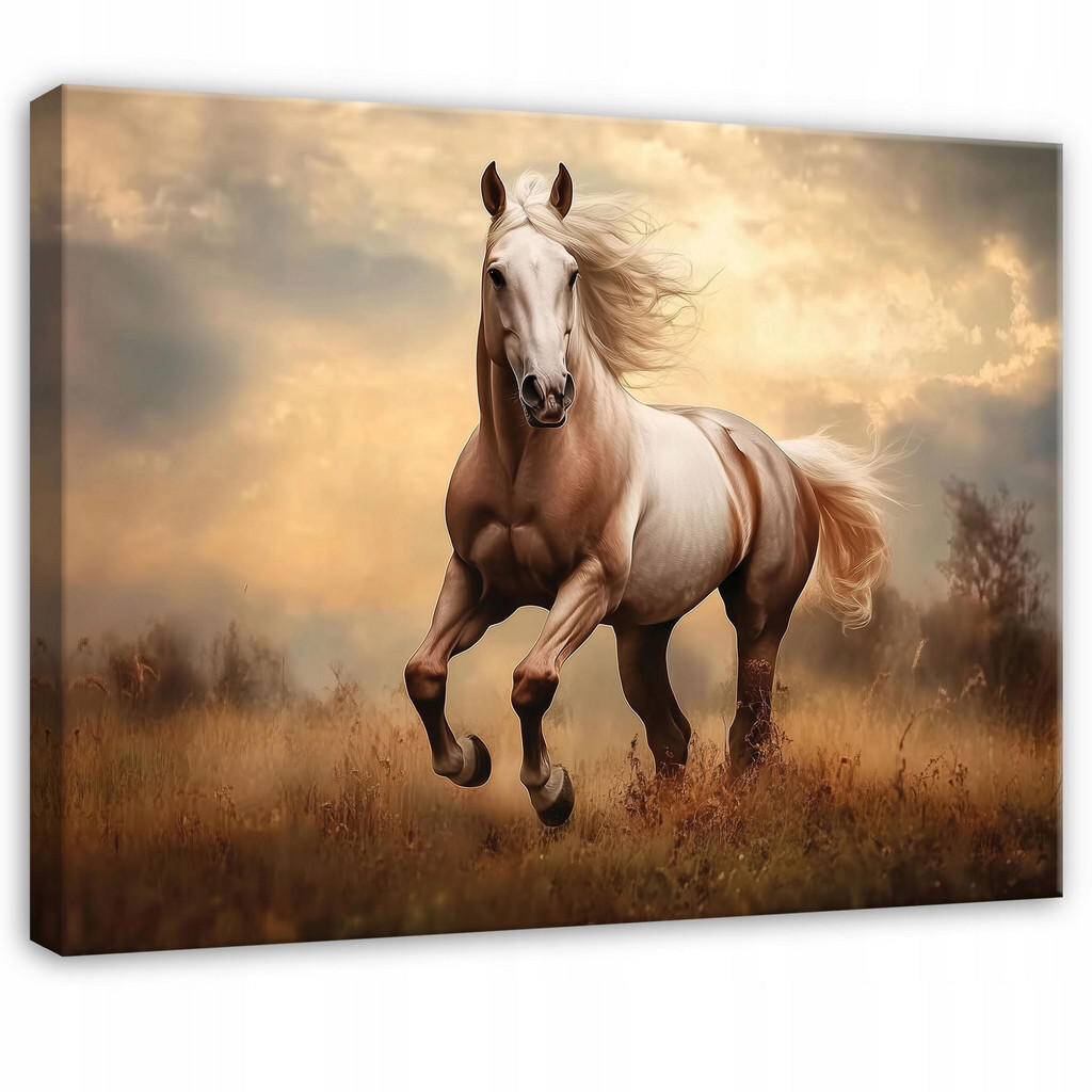 Wallarena FOTOTAPETA koně zvířata ložnice 60x40