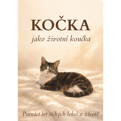 Kočka jako životní koučka