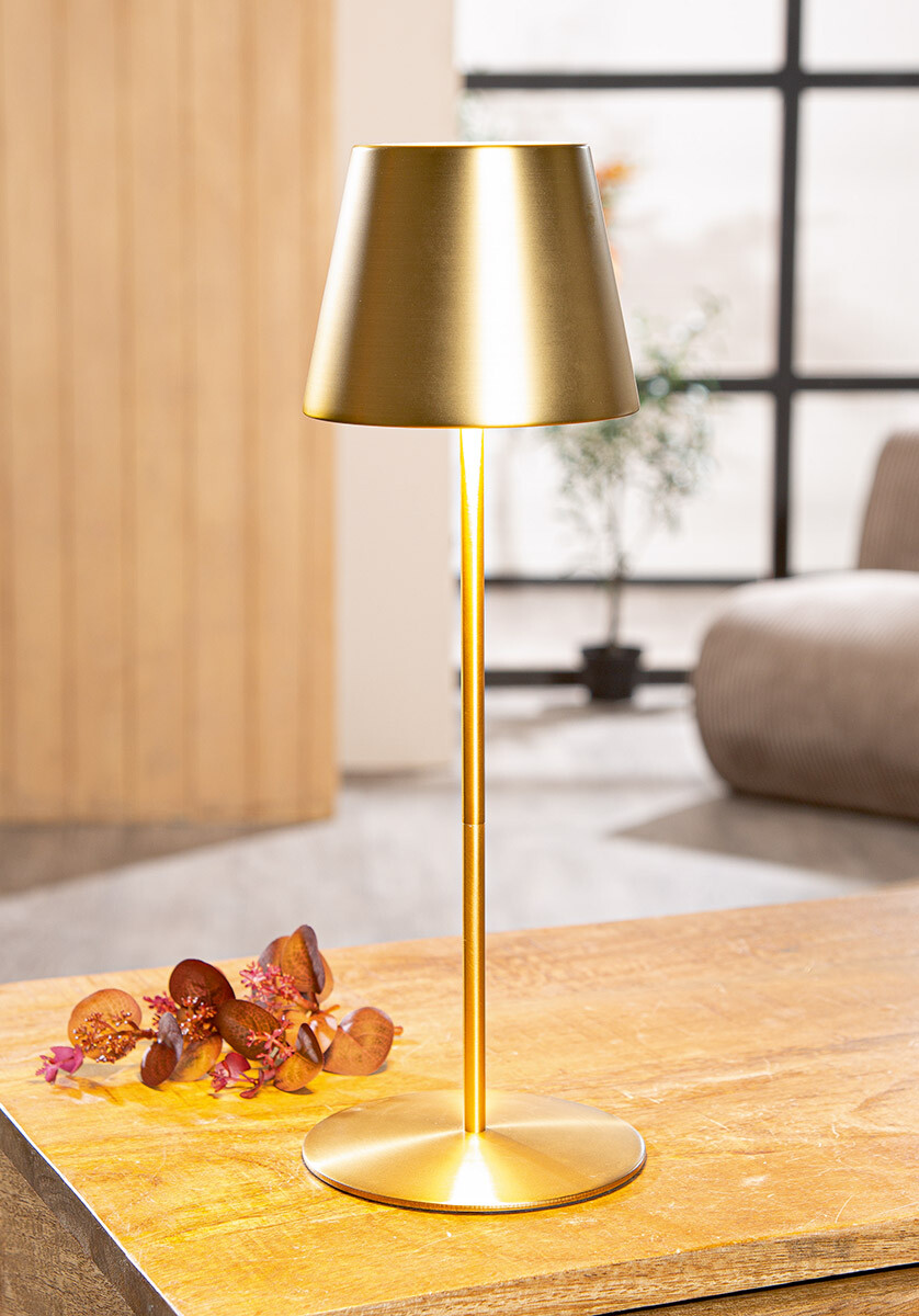 Stolní LED lampa Alisa, 35 cm