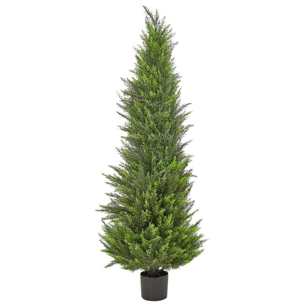 Beliani UMĚLÁ ROSTLINA v květináči 153 cm Zelená/Tmavší Odstín dřeva Cedar Tree