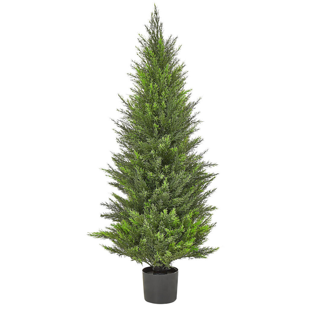 Beliani UMĚLÁ ROSTLINA v květináči 120 cm Zelená/Tmavší Odstín dřeva Cedar Tree