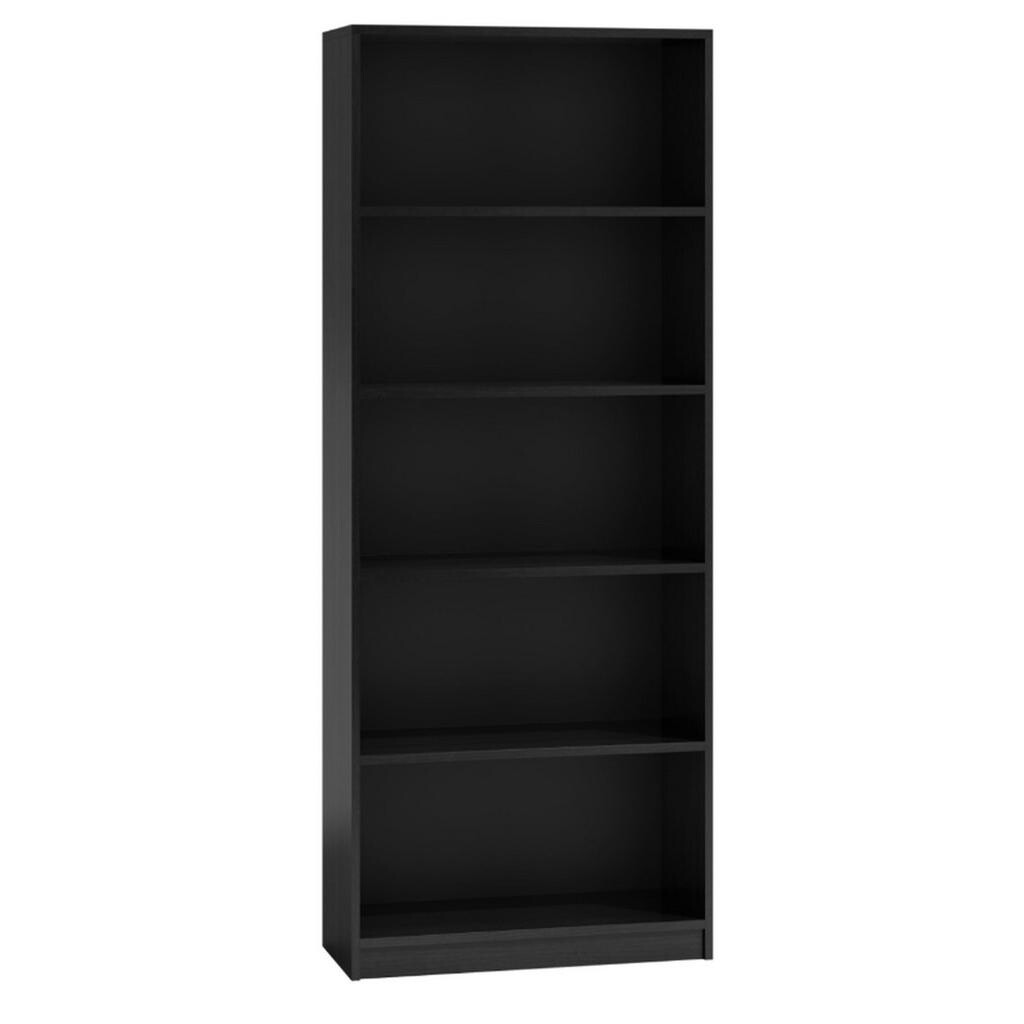 RAUMHIRSCH FURNITURE KNIHOVNA Černá 60/182/30