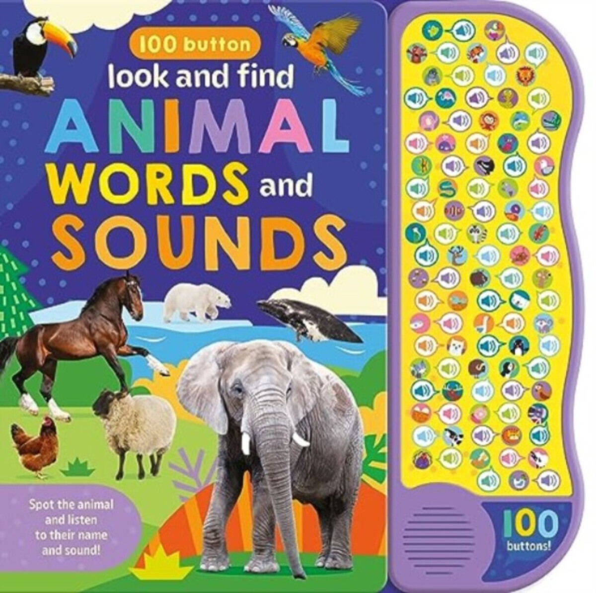 100 Button Look & Find