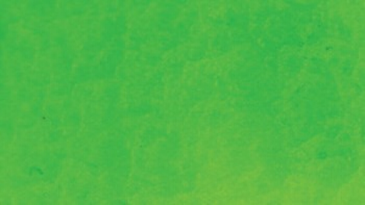 Fantasy Moon 45 ml - 62 Fluo green