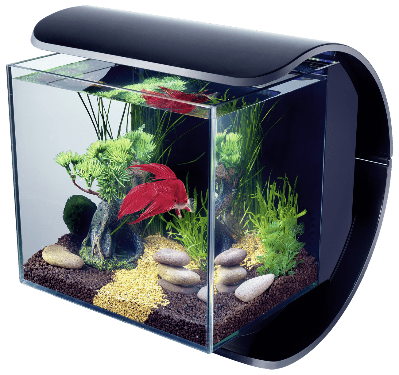 Akvárium Tetra Silhouette LED 12l černá