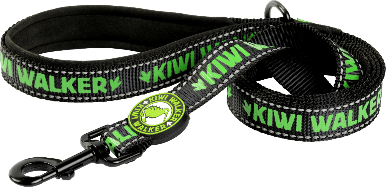Vodítko Kiwi Walker zelené L 150cm