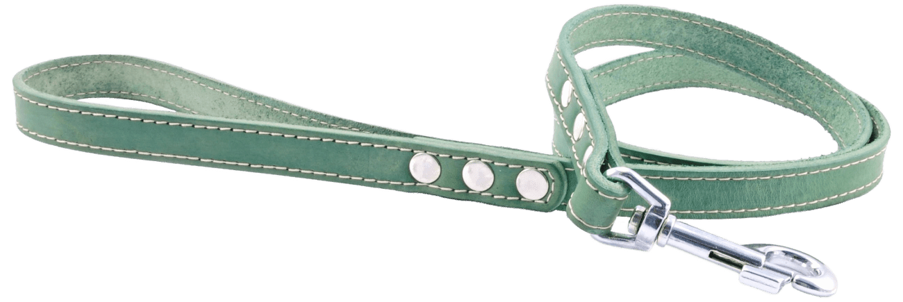 Kožené vodítko Tamer 1,9cm/175cm zelené