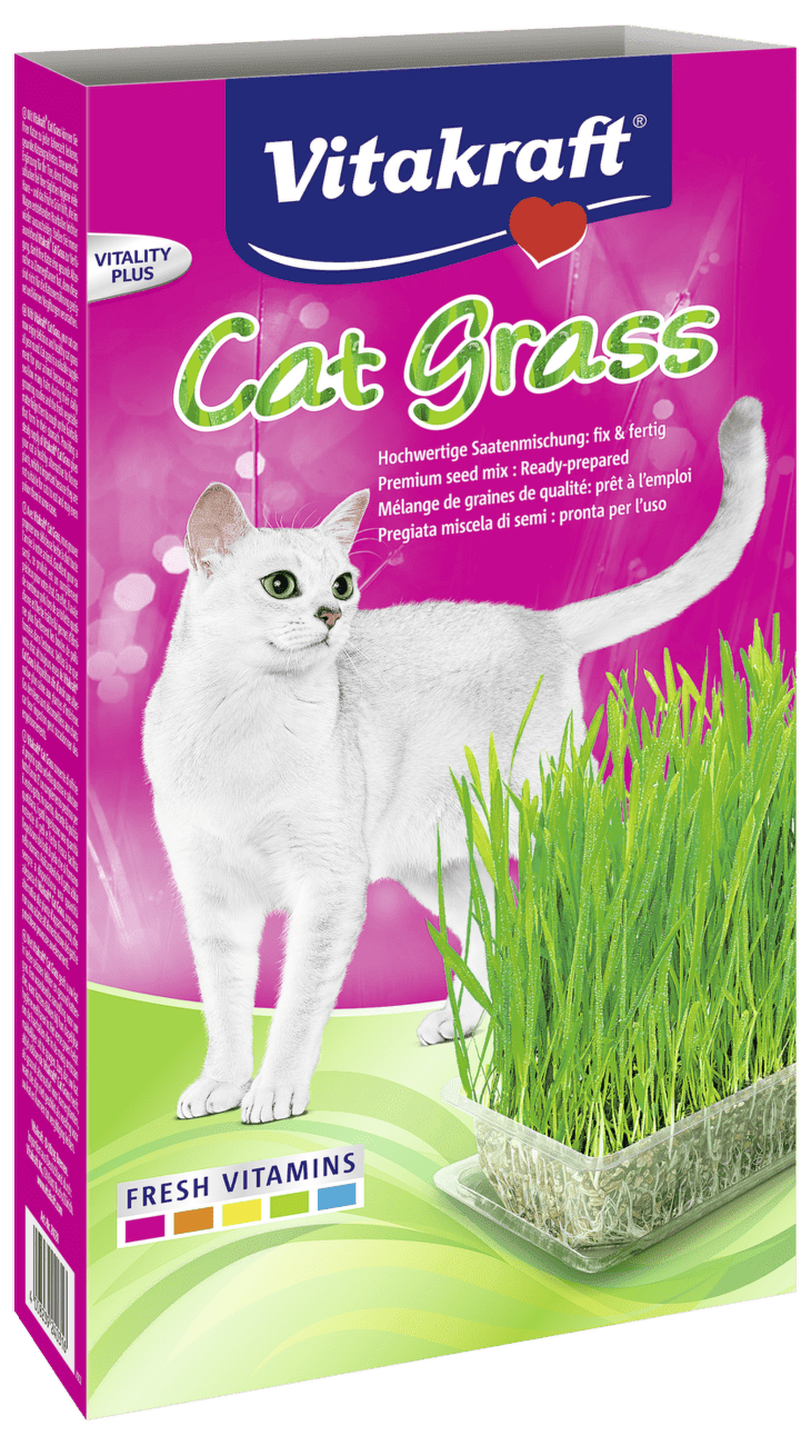 Tráva pro kočky Vitakraft Cat Grass 120g