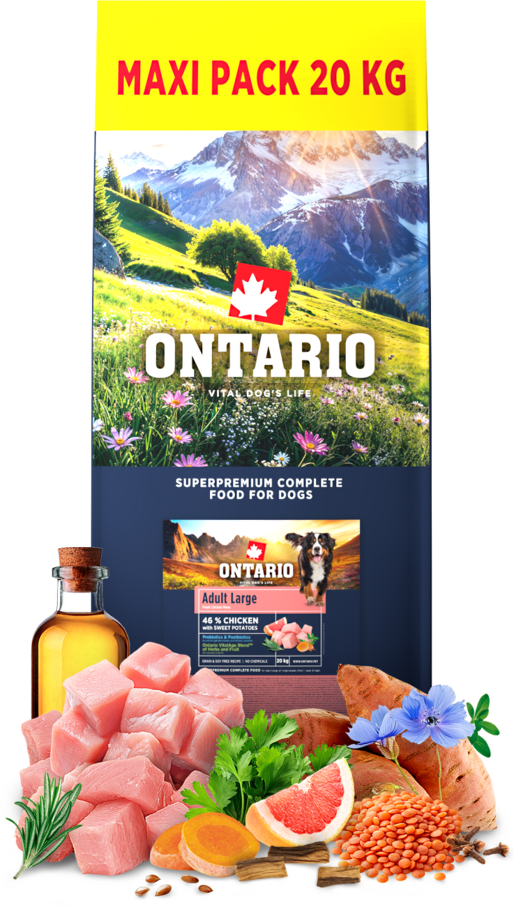 Ontario Adult Large Chicken & Sweet Potatoes 20kg