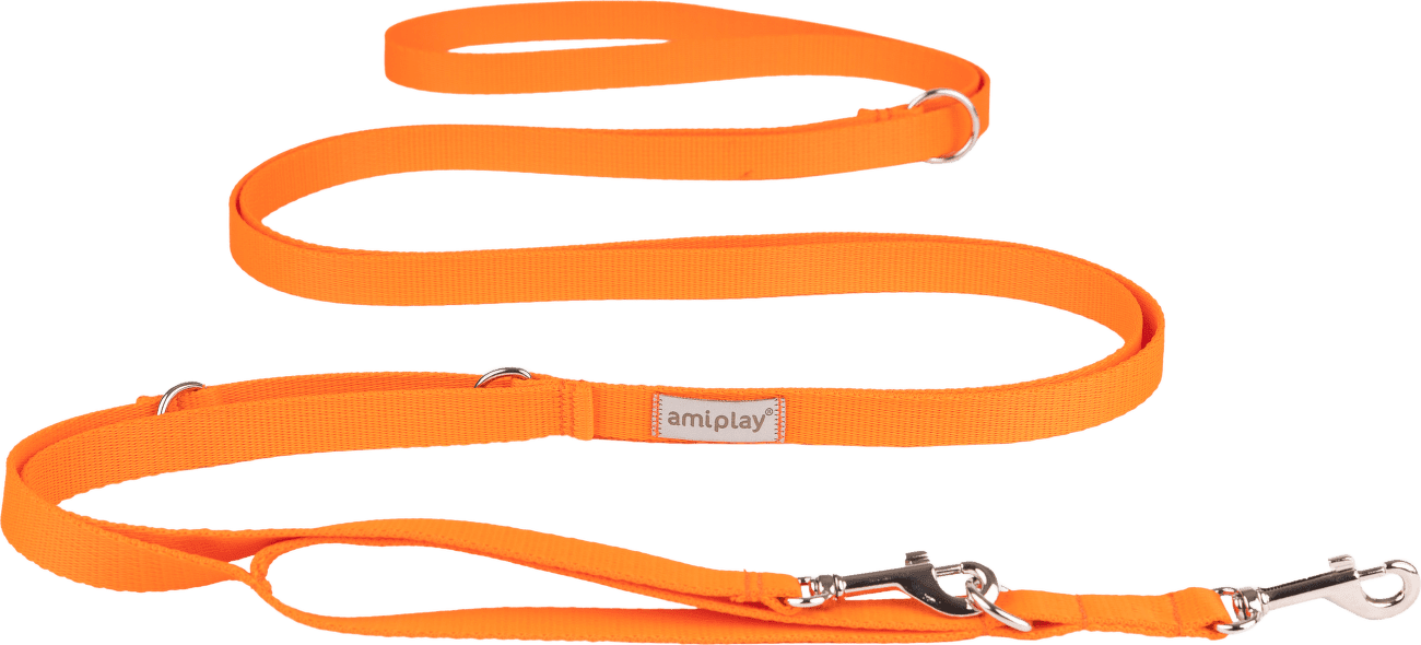 Vodítko pro psy Amiplay Samba 8v1 nastavitelné oranžové M 200–400 cm × 2 cm