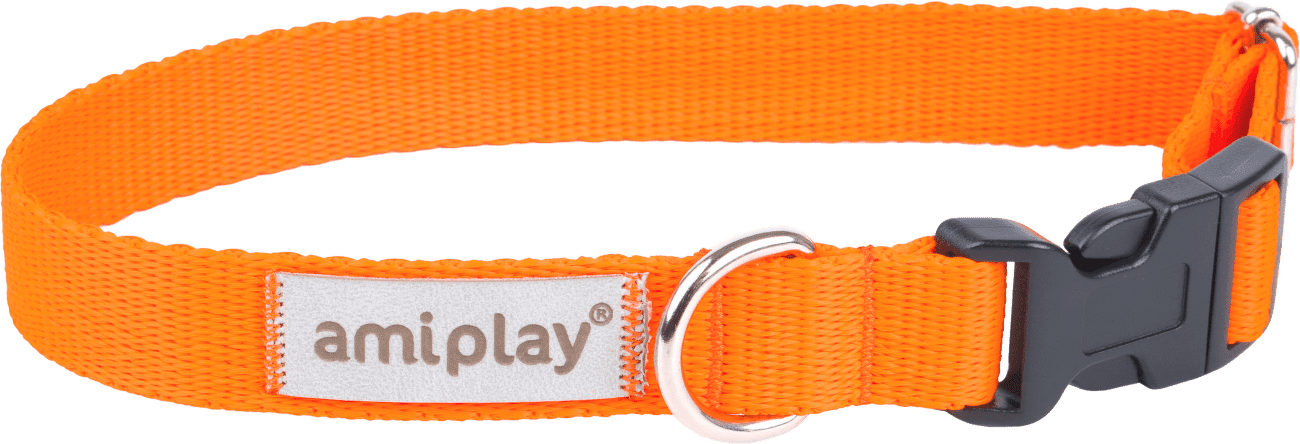 Obojek pro psy Amiplay Samba nastavitelný oranžový XS 18–30 cm × 1 cm
