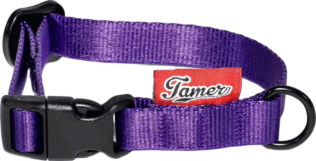 Obojek Tamer Simple 1,5 cm 18-27 cm fialový