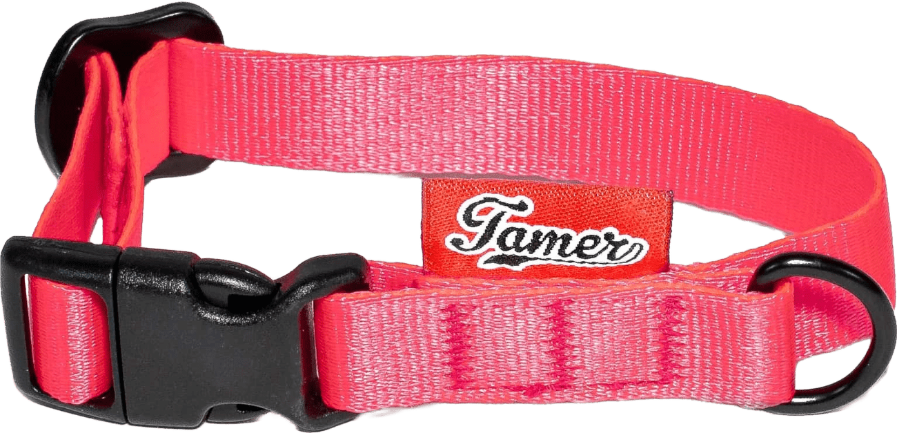 Obojek Tamer Simple 1,5 cm 18-27 cm růžový
