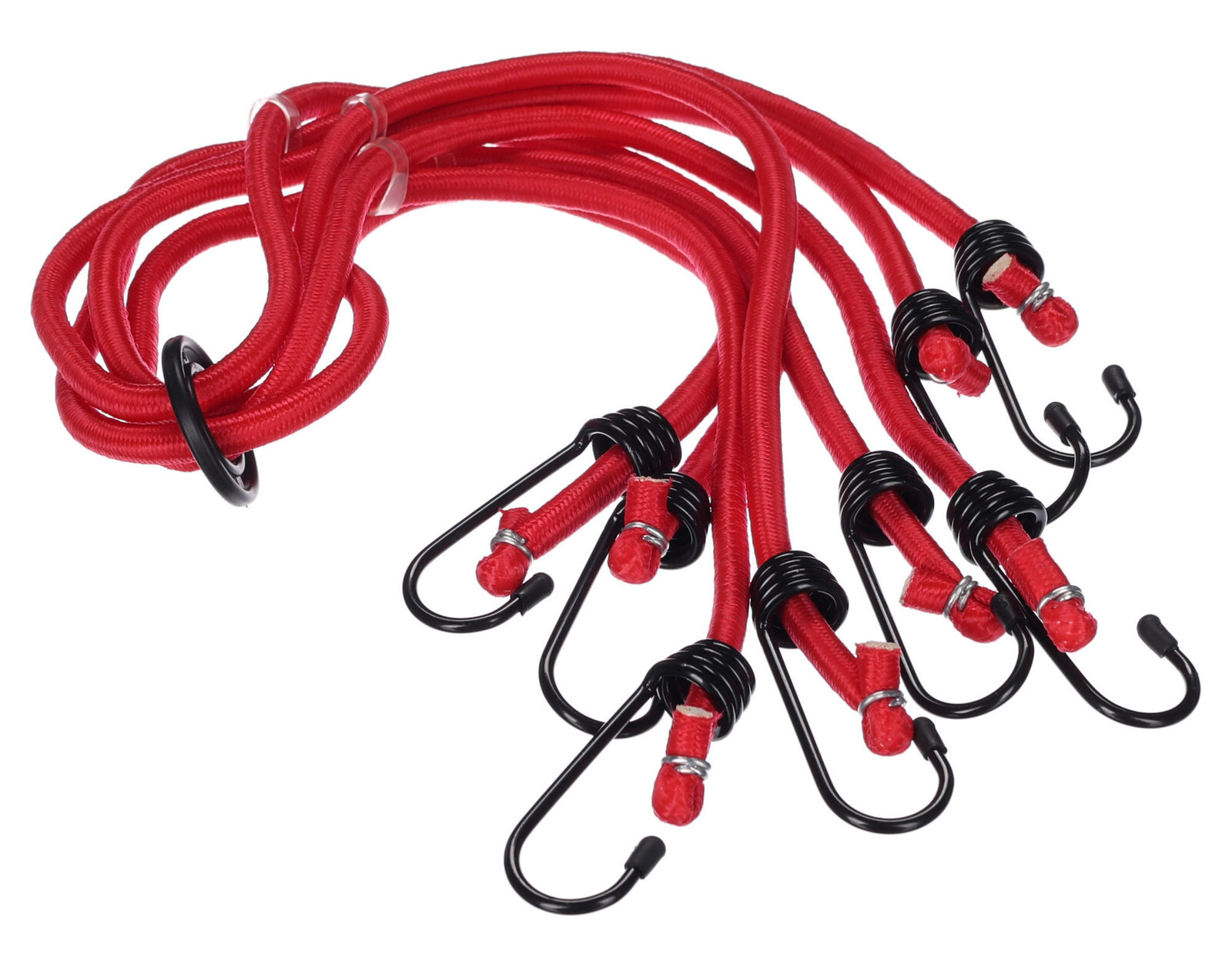 Gumové upínací popruhy/gumicuky pavouk CARGO CORD SPIDER BASIC 120, 120cm, 8 ramen SIXTOL