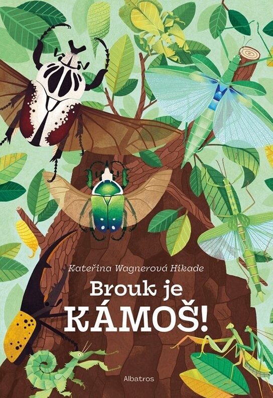 Brouk je kámoš