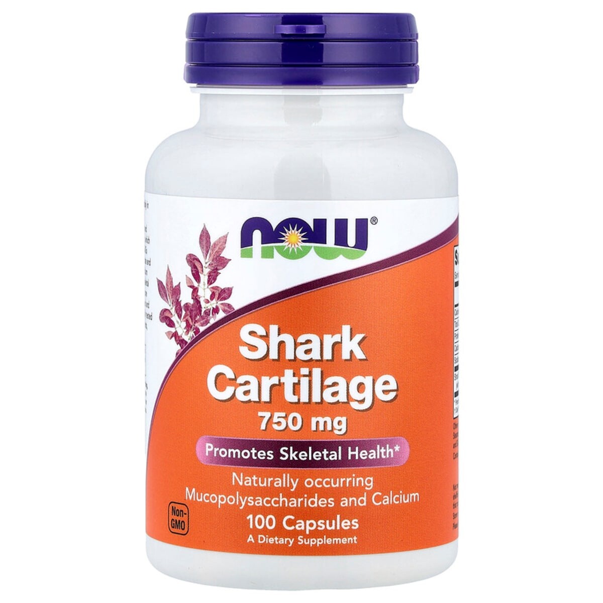 Now® Foods NOW Foods Žraločí chrupavka (Shark Cartilage), 750 mg, 100 kapslí