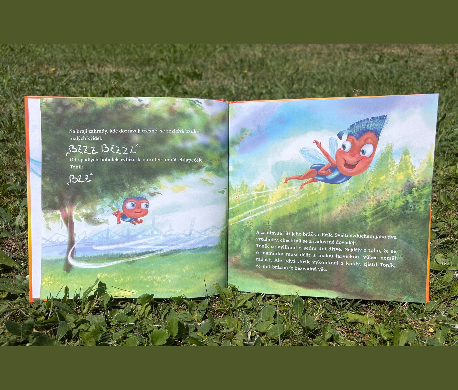 Tchibo - Kniha: Přátelství za mucholapku