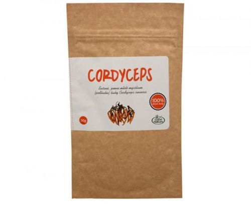 Cordyceps sinensis 50 g čisté mycélium v prášku