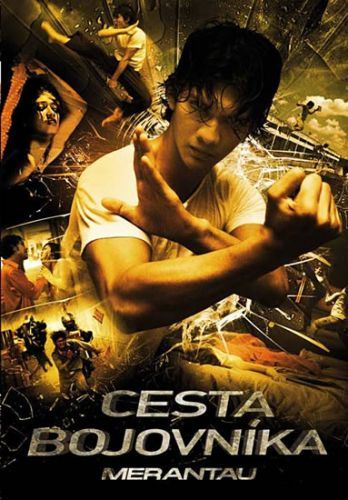 Cesta bojovníka - DVD
					 - neuveden