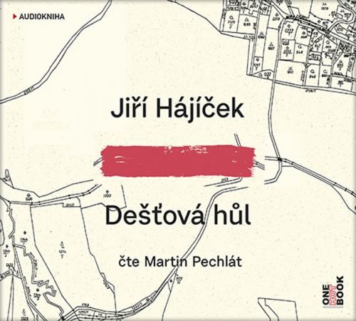 Dešťová hůl - CDmp3 (Čte Martin Pechlát)
					 - Hájíček Jiří