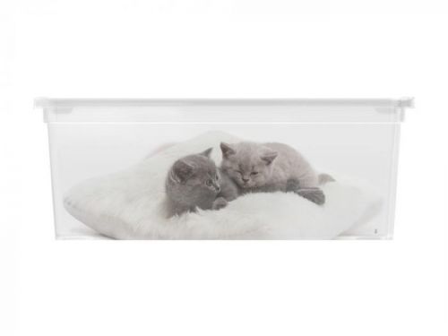 KIS Puppy and Kitten Plastový box - S