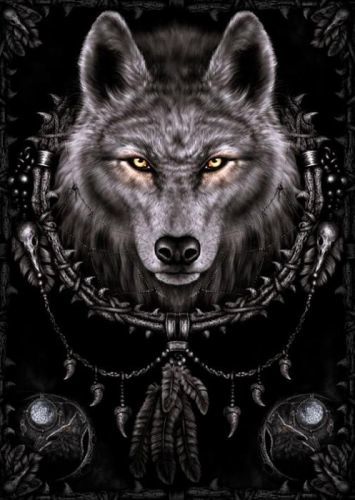 PYRAMID Plakát, Obraz - vlk, (61 x 91.5 cm)
