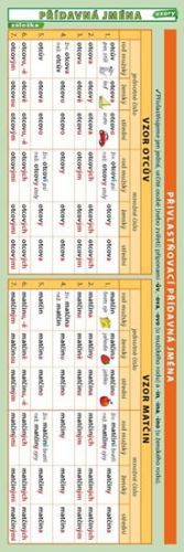 Záložka – Přídavná jména (vzory)
					 - Kupka Petr