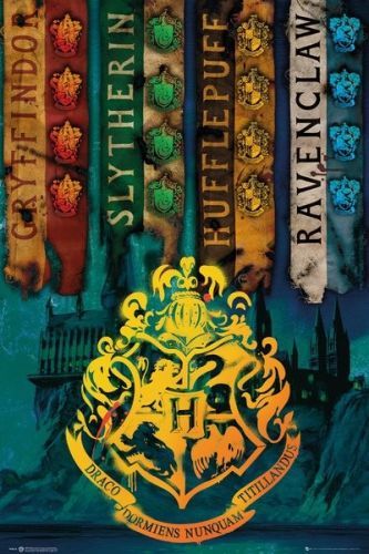 Posters Plakát, Obraz - Harry Potter - House Flags, (61 x 91,5 cm)