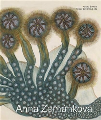 Anna Zemánková
					 - Zemánková Terezie, Šimková Anežka,