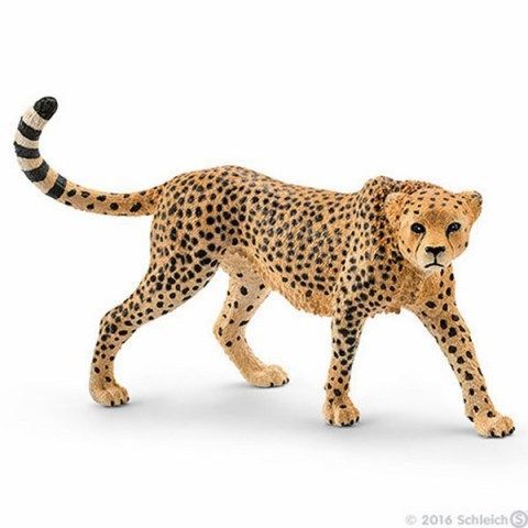 Schleich Gepard samice