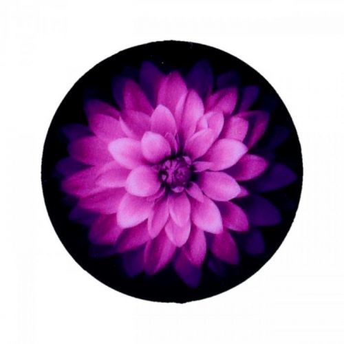 Držák na mobil TopQ PopSocket Purple Flower 36305