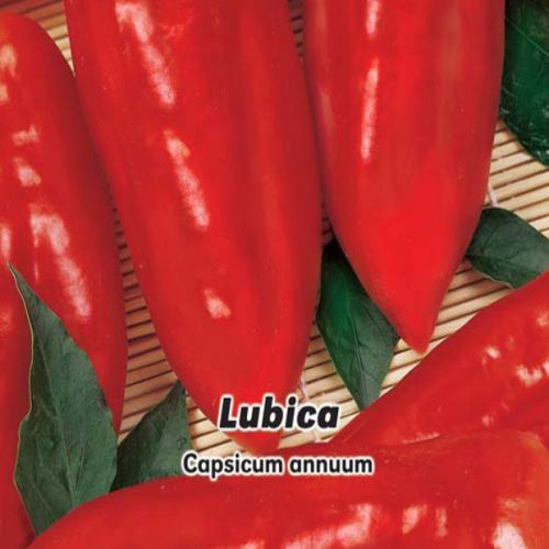 Paprika zeleninová F1 - Lubica - semena 20 ks