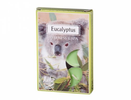 Svíčka čajová vonná 6ks eukalyptus