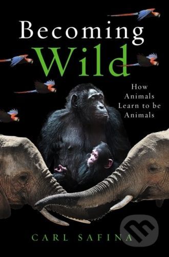 Becoming Wild - Carl Safina