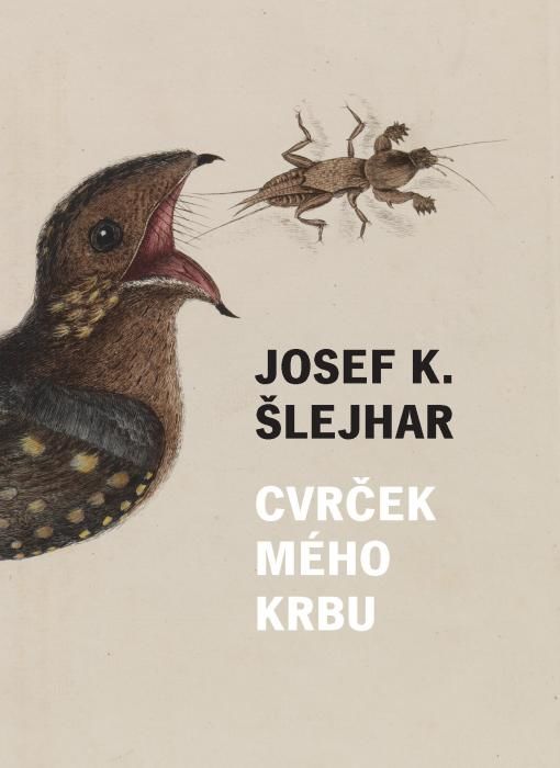 Cvrček mého krbu - Josef K. Šlejhar - e-kniha