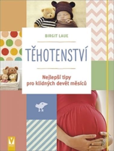Těhotenství - Nejlepší tipy pro klidných devět měsíců
					 - Laue Birgit