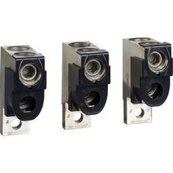 Svorka Schneider Electric LV429218 LV429218, 250 A, 1 ks