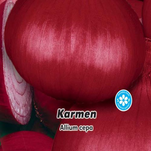 Cibule jarní červená - Karmen  - semena 2 g