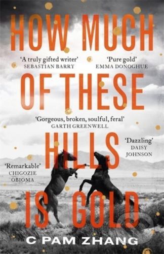 How Much of These Hills is Gold - C Pam Zhang
