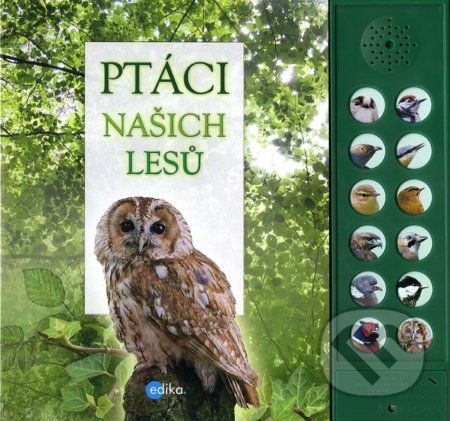 Ptáci našich lesů - Andrea Pinnington, Caz Buckingham
