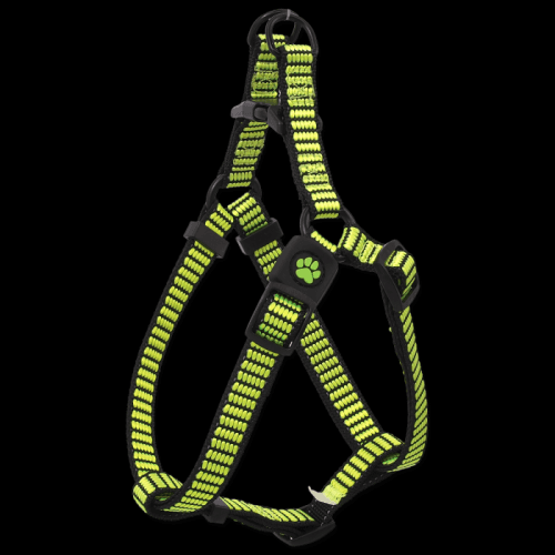 Postroj ACTIVE DOG Premium limetka L