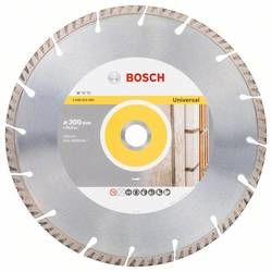 Bosch Accessories Standard for Universal Speed, 2608615069, průměr 300 mm 1 ks