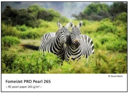 FomeiJet PRO Pearl 265, prům. balení 13x18/250